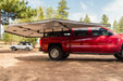 2022_270_XL_Big_Bear_Shoot_-_57_700x_4ae3ab41-e91f-43f0-af0d-d9eaacf4ec5f