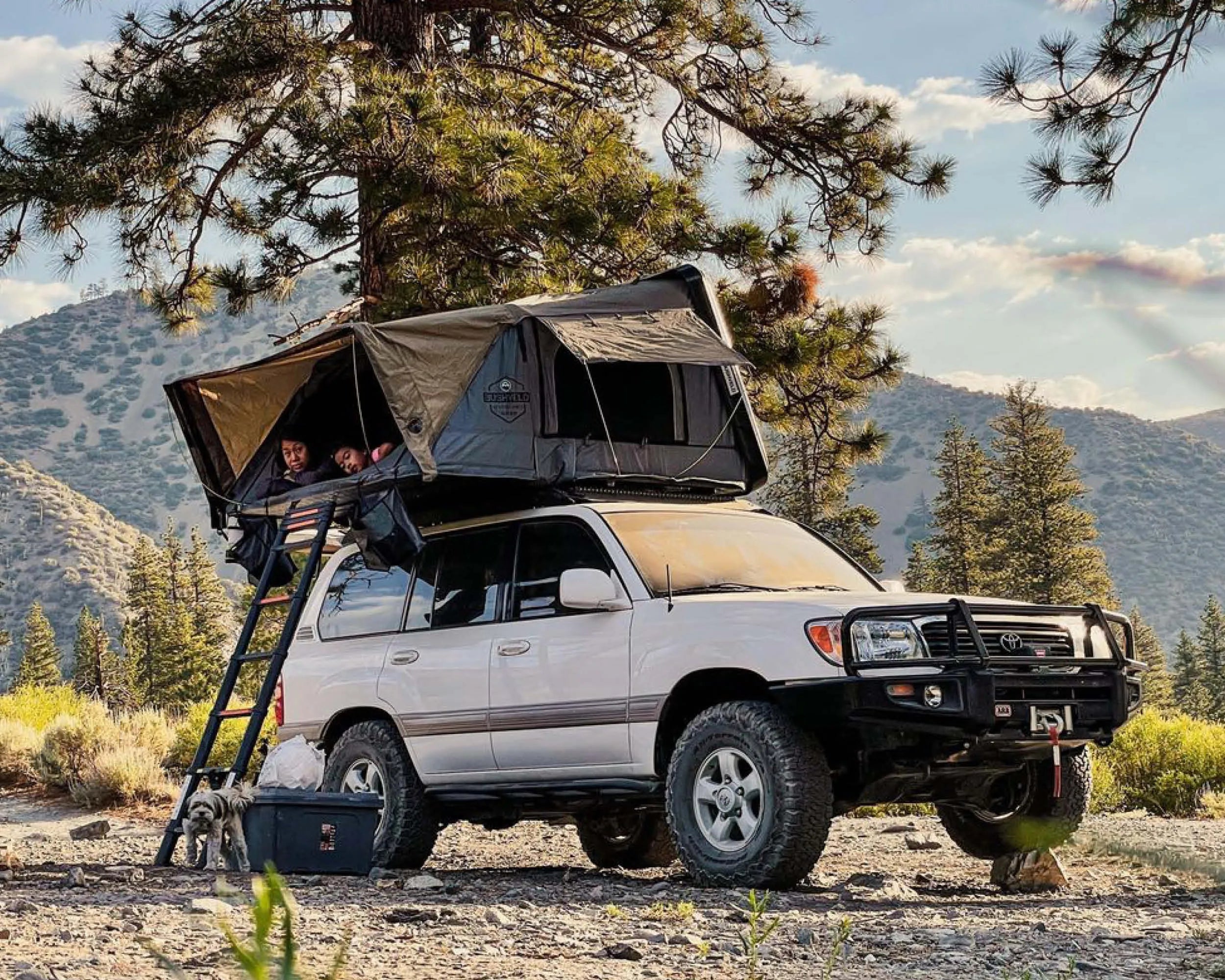 Overland Vehicle Systems HD Bushveld II Cantilever Hard Shell Roof Top Tent